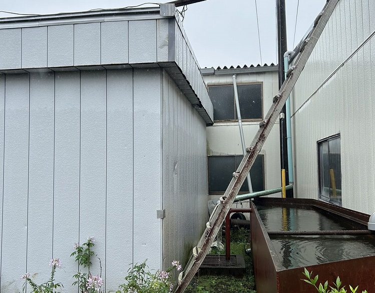 栃木県,市貝町,倉庫,屋根,外壁,塗装